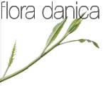 paris-flora-danica.jpg